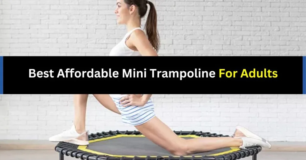 Best Affordable Mini Trampoline for Adults