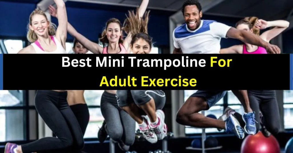 Best-Mini-Trampoline-for-Adult-Exercise